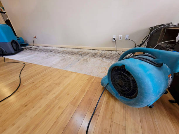 Professional Emergency Water Damage technician working in Winifrede, WV